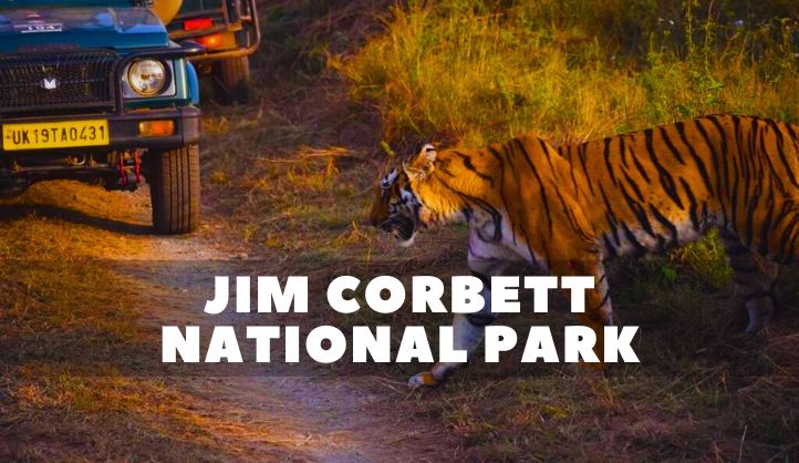 Jim Corbett National Park: A Wildlife Paradise in Uttarakhand