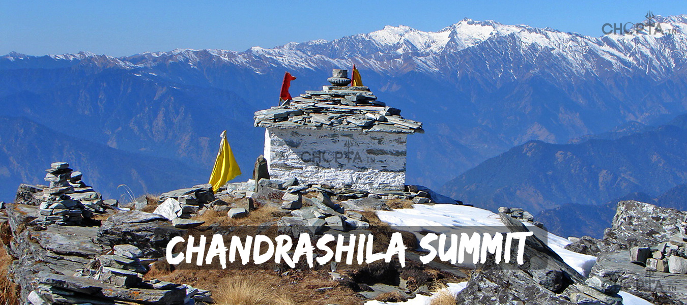 Chopta: The Mini Switzerland of Uttarakhand