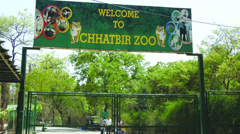 Chattbir Zoo