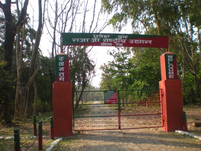 Rajaji National Park