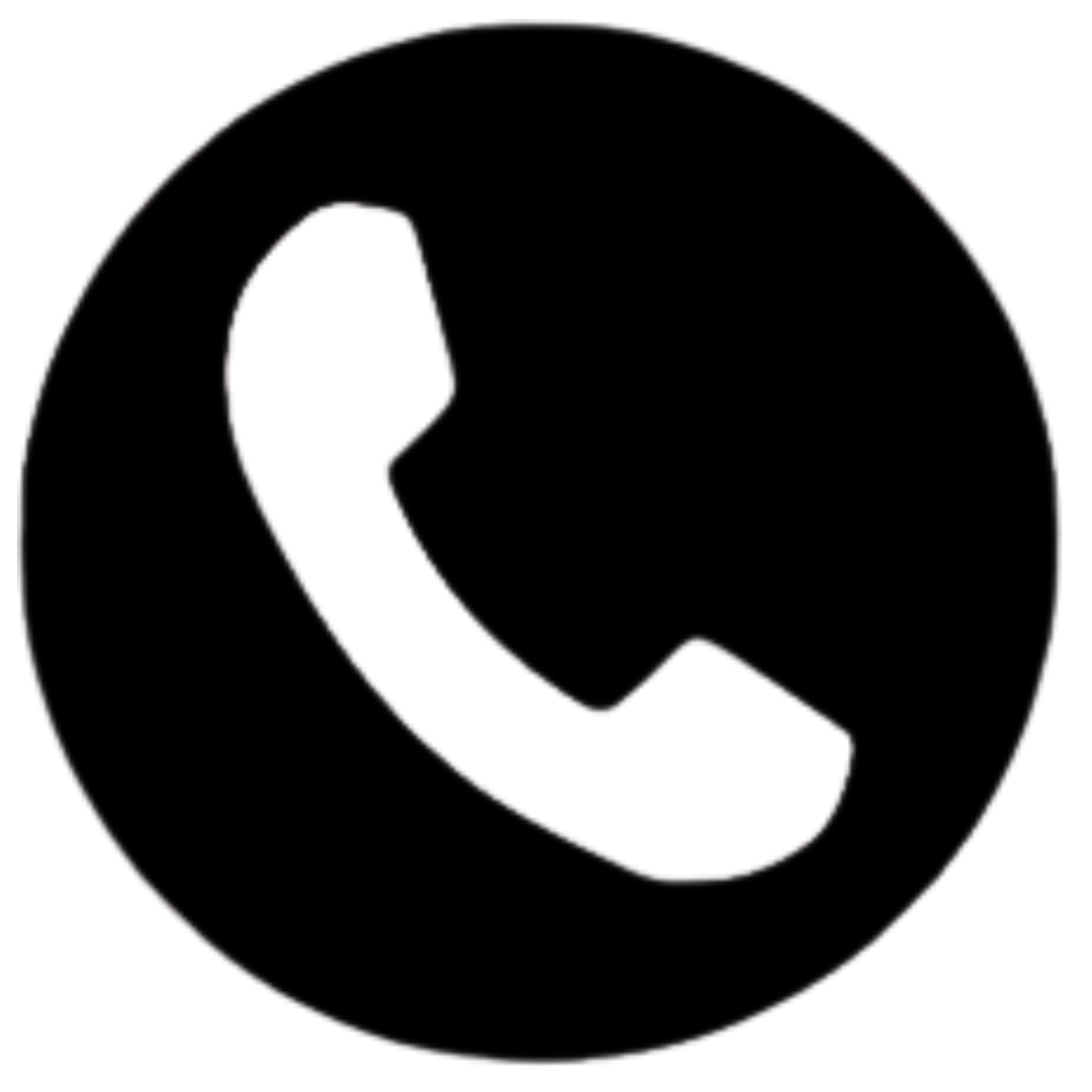 Phone Icon